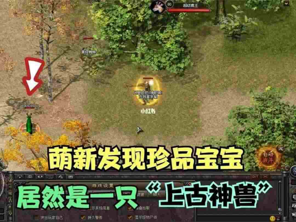 100%仿盛大猴年新装之热血传奇暗锋怎么搭配